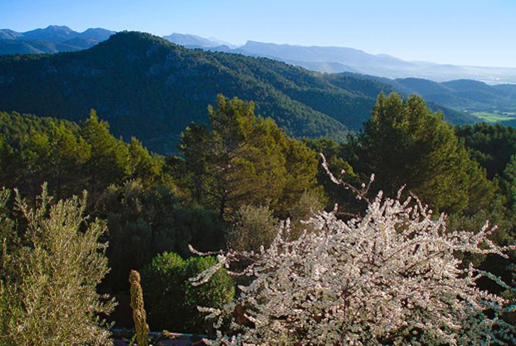 Loftotel Canet Esporles Bagian luar foto