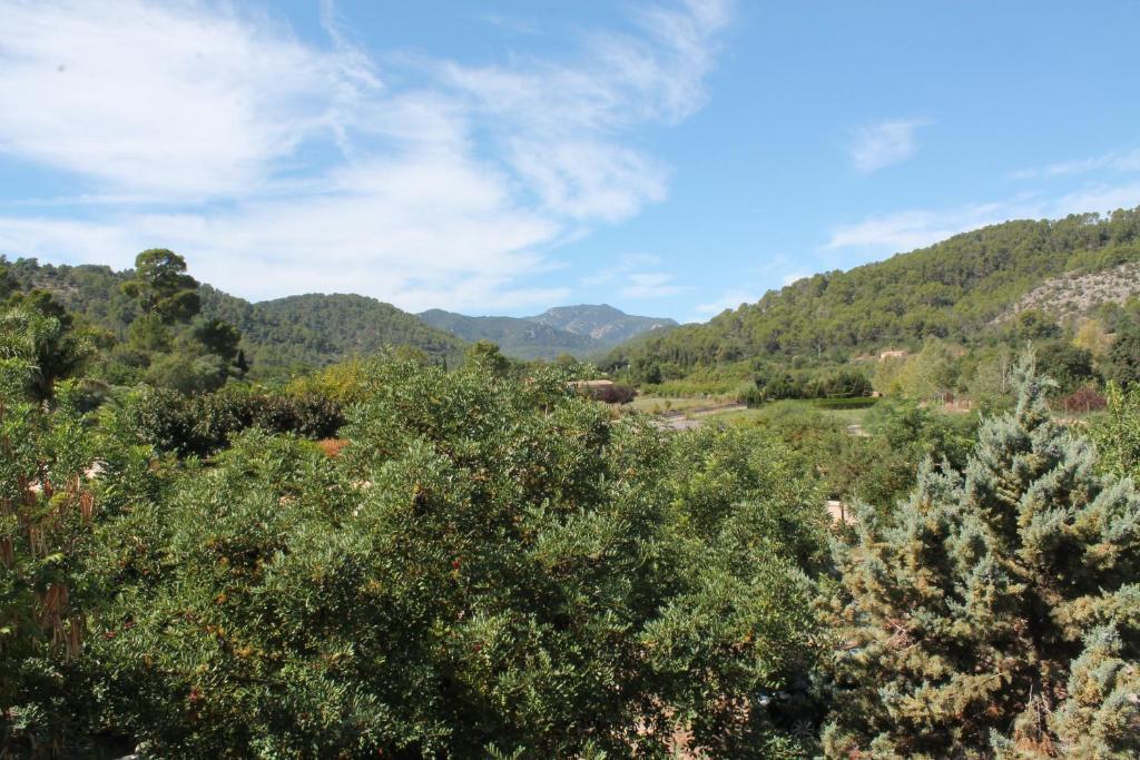Loftotel Canet Esporles Ruang foto